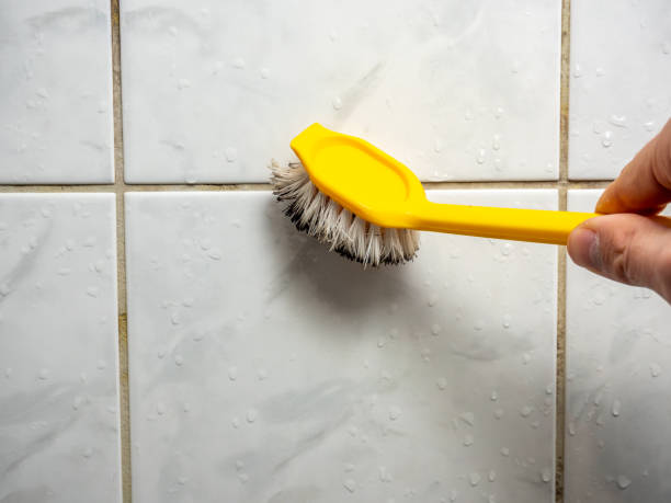 Best Localized Mold Remediation (e.g., coastal areas, humid climates) in Ogdensburg, NJ